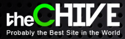 the chive probably the best site in the world